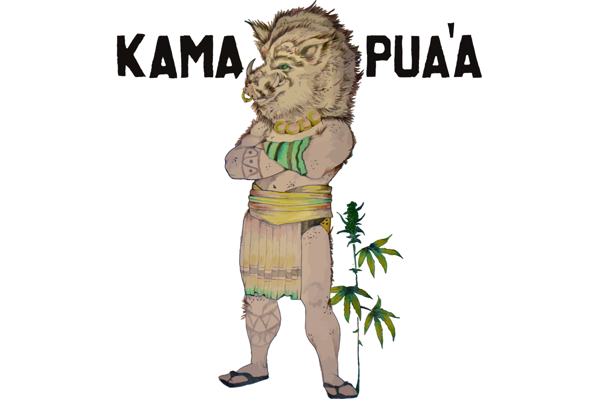 Hog-Child - Kamapua'a Marujuana Light Shop, CBD cannabis, erba legale.