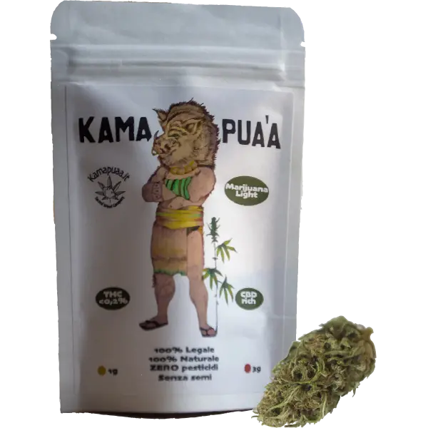 Bustina Reale Cima - Kamapua'a Cannabis Shop